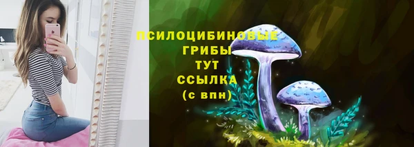 прущие крисы Сатка