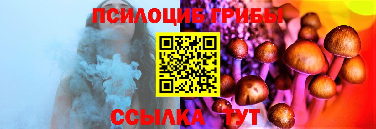 Губкин  Псилоцибиновые грибы Psilocybine cubensis  Вход с VPN 